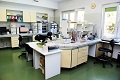 Laboratorium #1